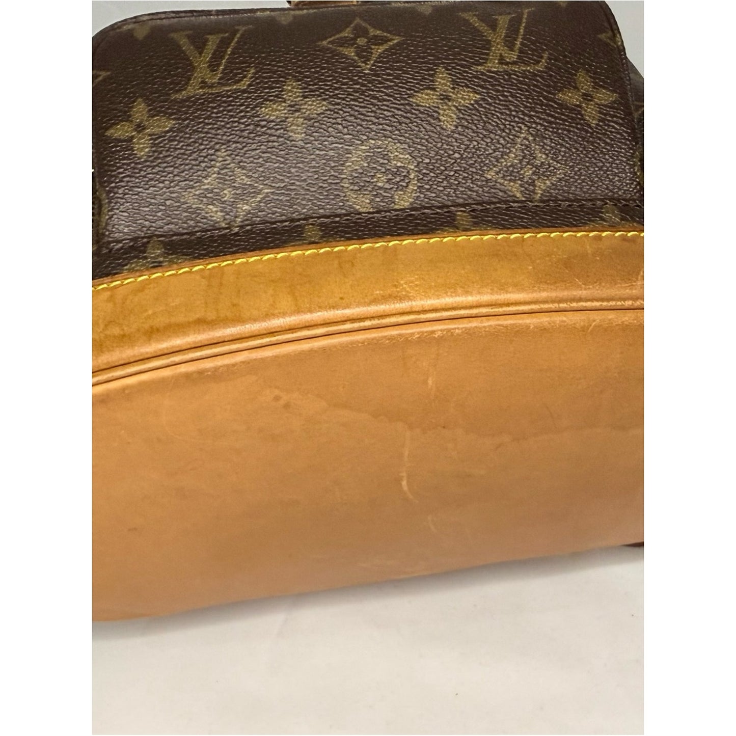 Louis Vuitton Brown Monogram Montsouris MM Backpack